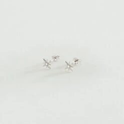 Boucles D'oreilles Puces OURSE - Cristal / Argenté