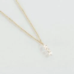 Collier Ras Du Cou PETILLE - Cristal / Doré